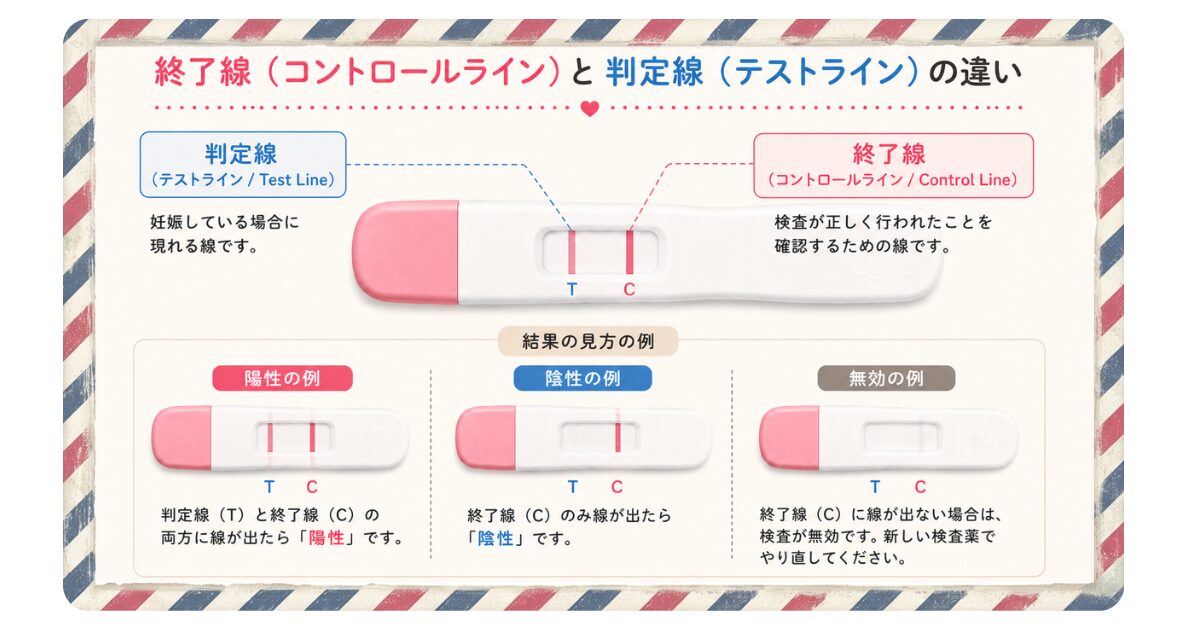 線タイプの妊娠検査薬で判定線（Test Line）と終了線（Control Line）の位置と役割を説明した図。
